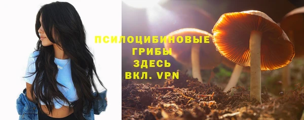 прущие крисы Нея