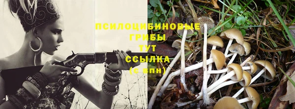 синтетический гашиш Новокубанск