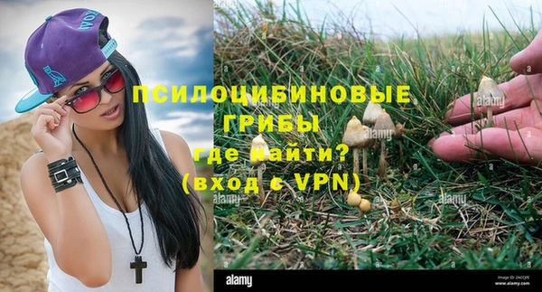 мдма Новодвинск