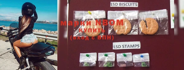 ECSTASY Новозыбков